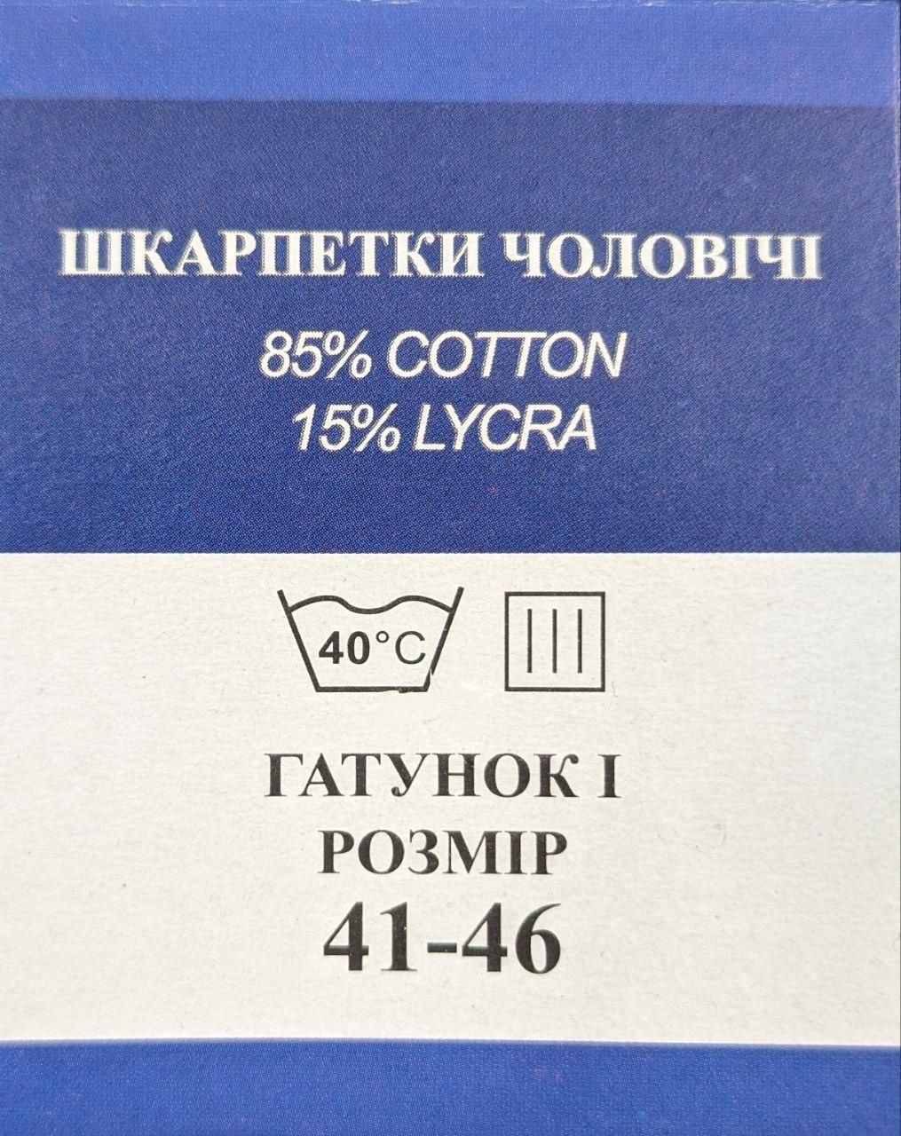 Махрові зимові шкарпетки чоловічі Luxe Term теплі з написом розмір 41-46, 12 пар/уп. асорті 1495722684 фото