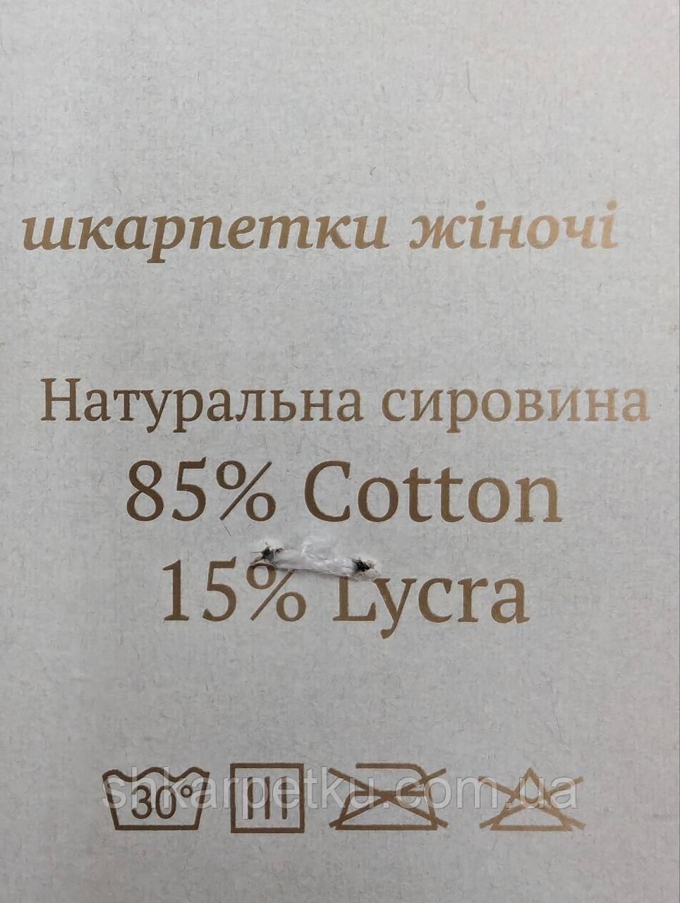 Жіночі шкарпетки Luxe Fashion короткі літні однотонні стрейчеві, розмір 36-40, 12 пар/уп. 2571612665 фото
