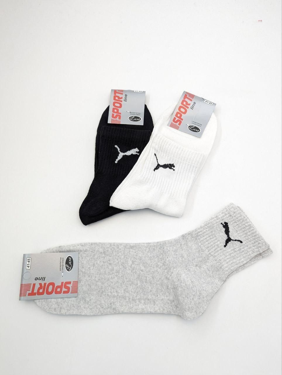 Чоловічі середні всесезонні спортивні шкарпетки Luxe Sport з емблемою &laquo;P&raquo; стрейчеві тенісна резинка|12 пар|41-45|Асорті 2477061415 фото